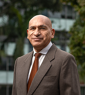 Waldo Mendoza Bellido