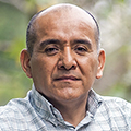 Mario Munive