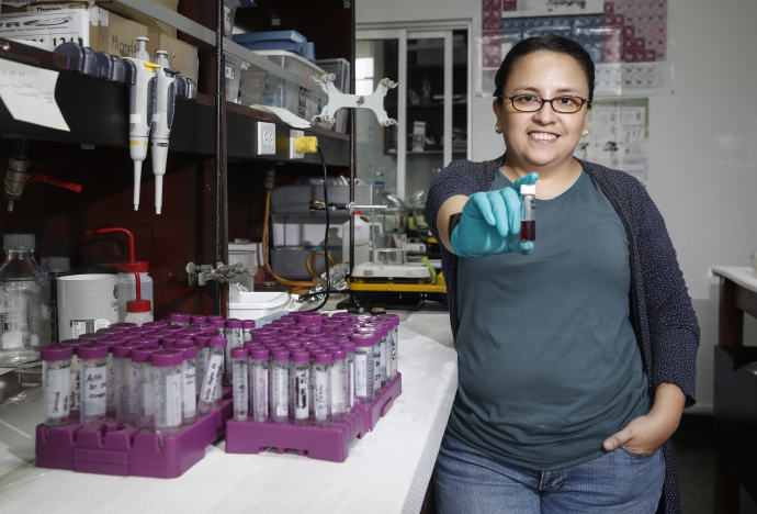 Investigadores PUCP desarrollan un método sencillo para detectar toxinas en alimentos