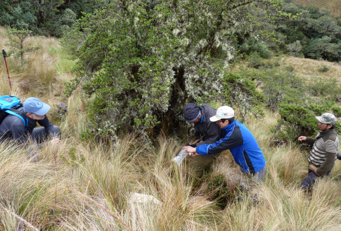 Aportes PUCP: investigación innovadora y diversa al servicio del Perú