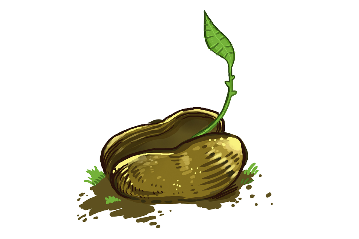 Acuerdo de Escazú: oportunidades y ratificación