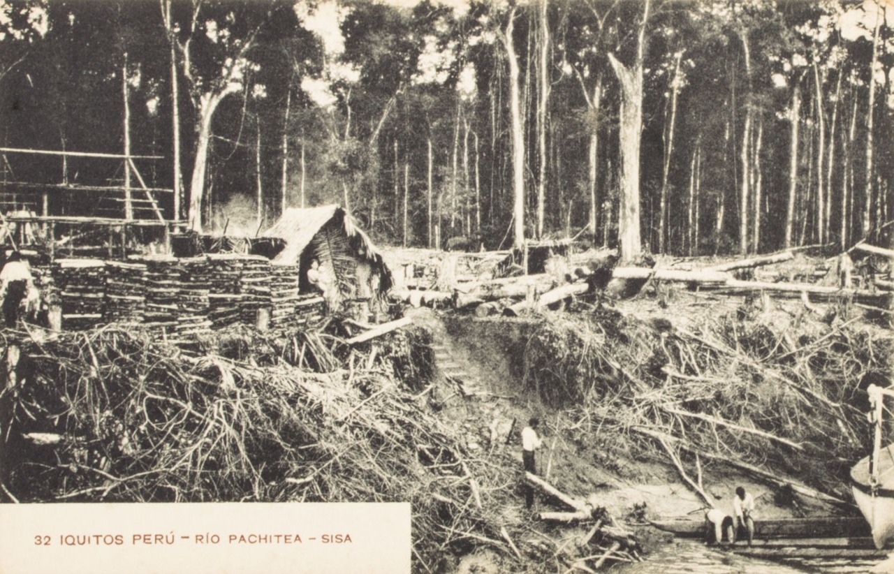 Foto en blanco y negro. La toma es abierta y se ve una casa de construcción precaria a la orilla alta de un río y varios árboles talados. Se lee "río pachitea"