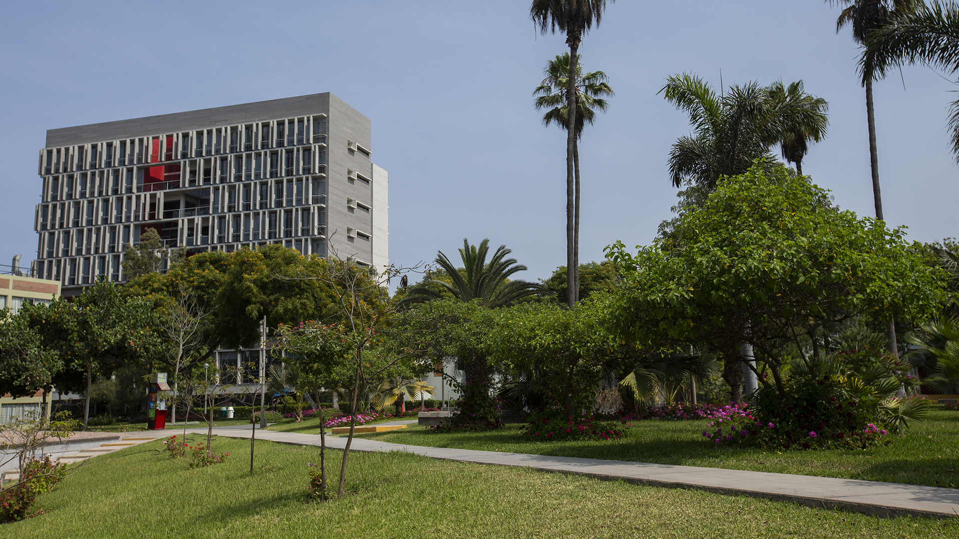 PUCP, imagen del campus: se ve un jardín bien cuidado con algunos árboles y, en segundo plano, un edificio moderno de varios pisos, plomo.