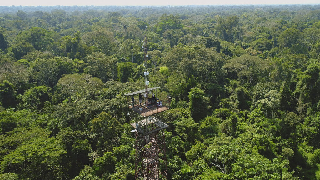 Torre Tambopata.