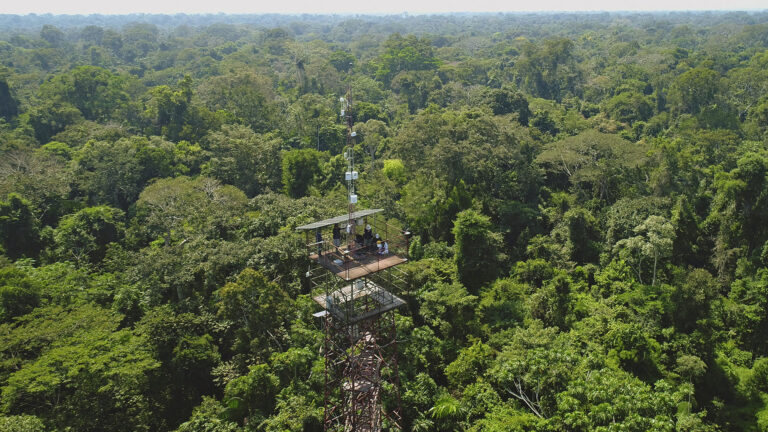 Torre Tambopata.
