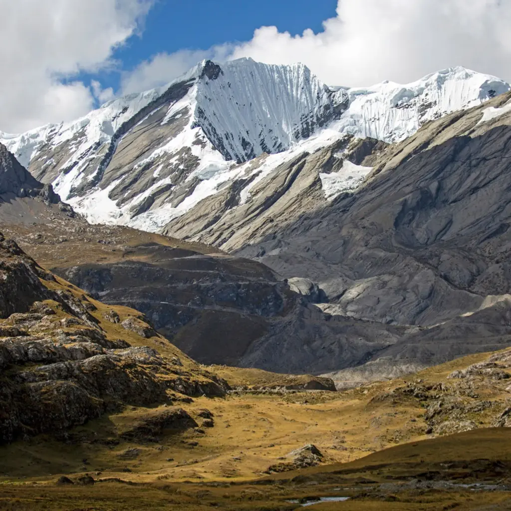Los últimos glaciares