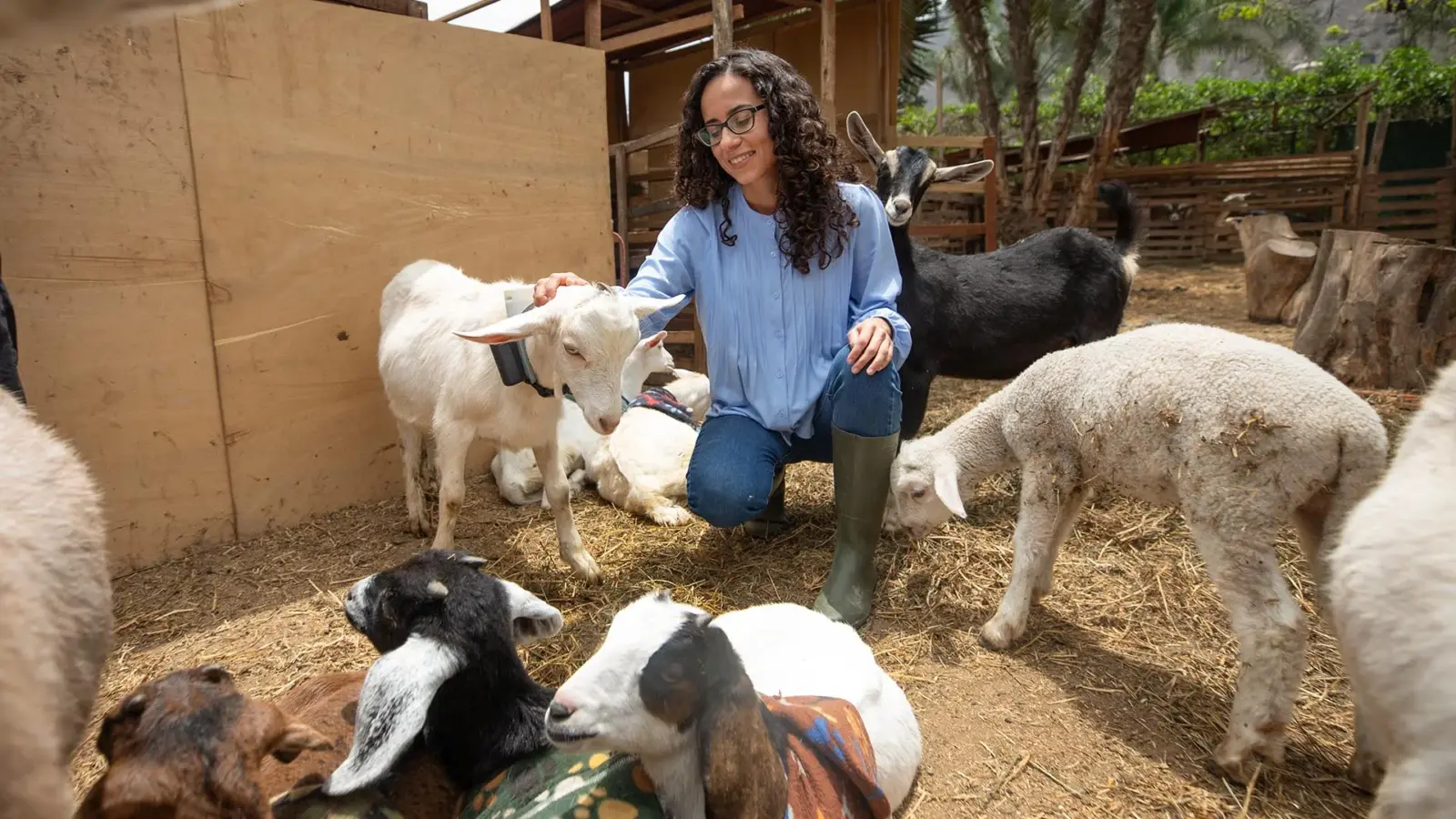 RumiTech de Sandra Pérez