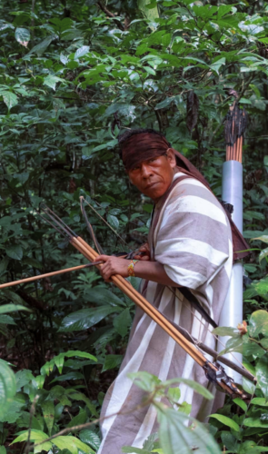Territorios indígenas de la Amazonía en peligro