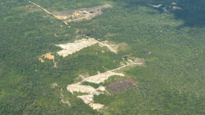 El proyecto “Agua, bosques y arena: salud de los ecosistemas y salud humana” en el eje Iquitos Nauta