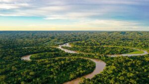 Origen del Amazonas
