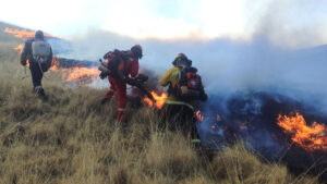 Incendios forestales en el Perú.