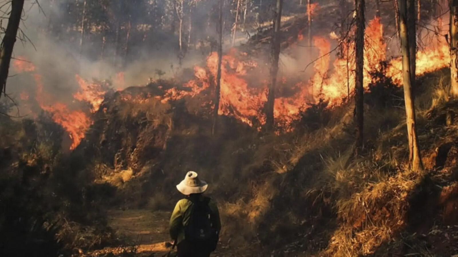 Incendios forestales en el Perú.
